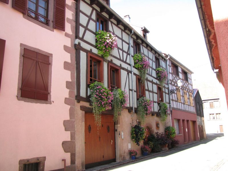 photo 16 Location entre particuliers Ribeauvill appartement Alsace Haut-Rhin