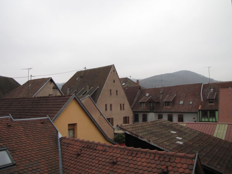 photo 18 Location entre particuliers Ribeauvill appartement Alsace Haut-Rhin Vue depuis la location