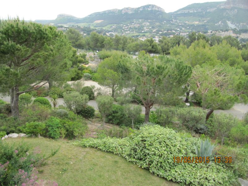 photo 21 Location entre particuliers Cassis appartement Provence-Alpes-Cte d'Azur Bouches du Rhne Jardin