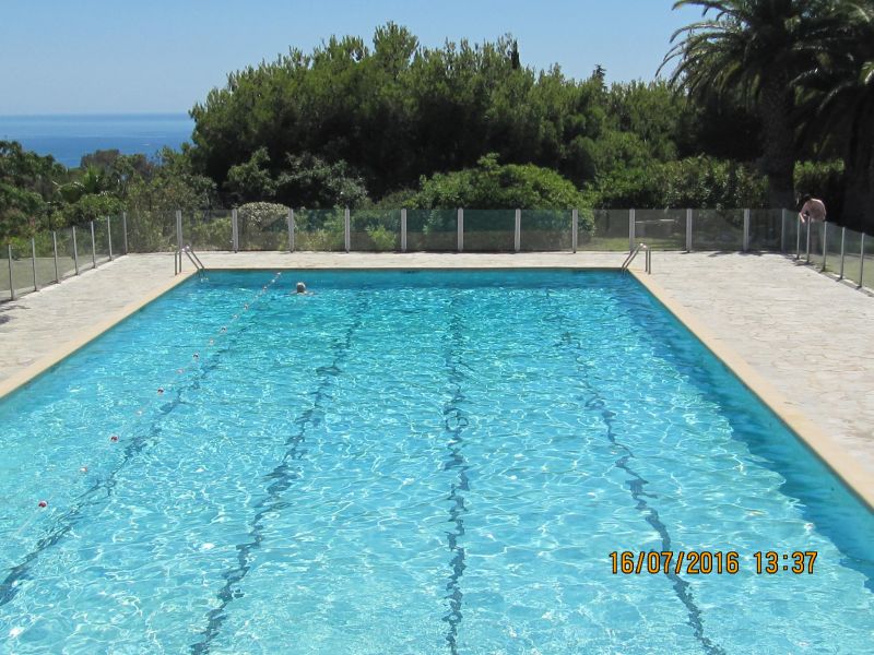 photo 20 Location entre particuliers Cassis appartement Provence-Alpes-Cte d'Azur Bouches du Rhne Piscine