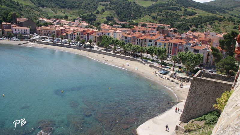 photo 9 Location entre particuliers Collioure appartement Languedoc-Roussillon Pyrnes-Orientales Plage