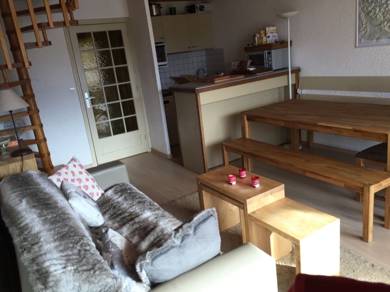 photo 4 Location entre particuliers Les 2 Alpes appartement Rhne-Alpes  Salon