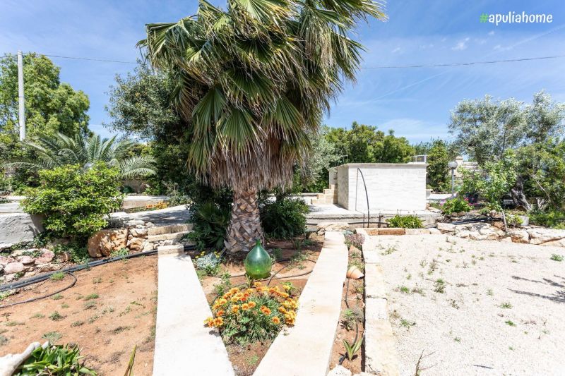 photo 4 Location entre particuliers Torre Suda villa Pouilles Lecce (province de) Jardin