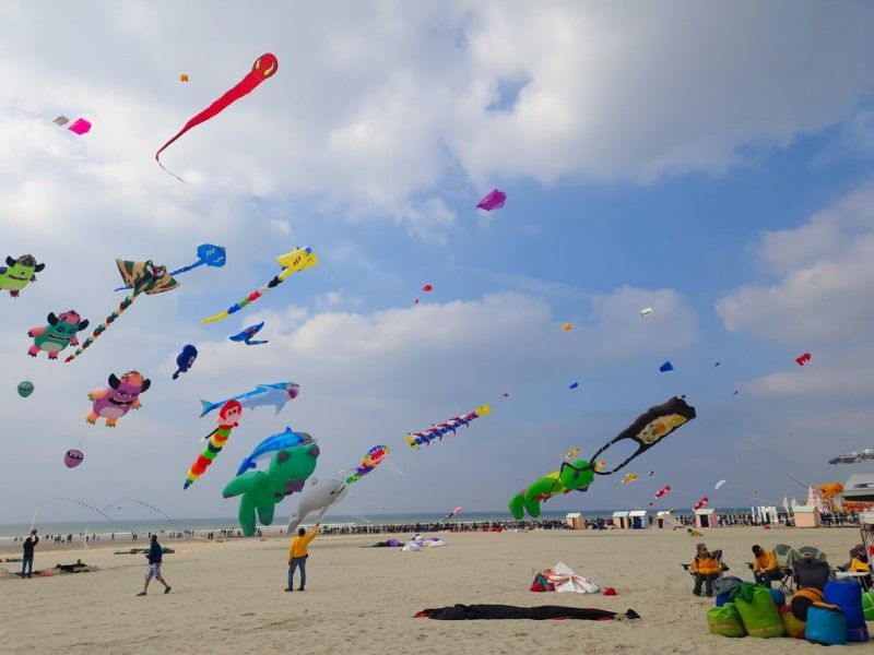 photo 21 Location entre particuliers Berck-Plage appartement Nord-Pas de Calais Pas de Calais Plage