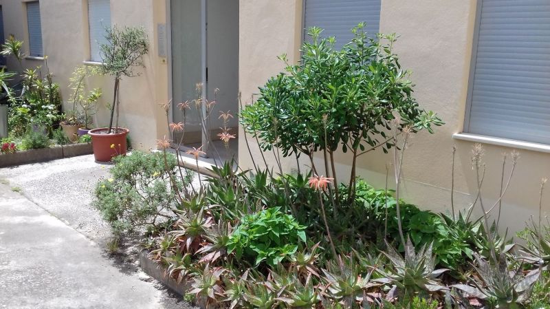 photo 12 Location entre particuliers Hyres appartement Provence-Alpes-Cte d'Azur Var Entre