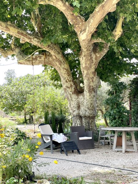 photo 4 Location entre particuliers Isle sur la Sorgue maison Provence-Alpes-Cte d'Azur  Jardin
