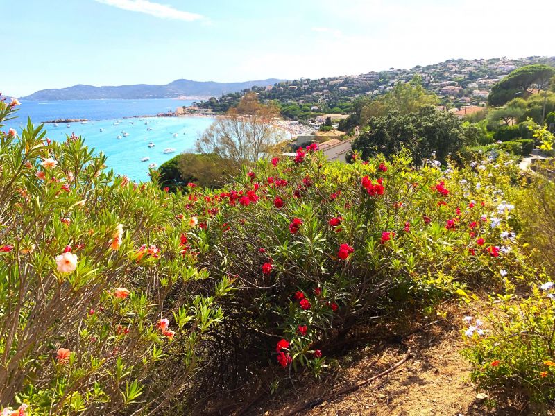 photo 4 Location entre particuliers Le Lavandou villa   Vue de la terrasse