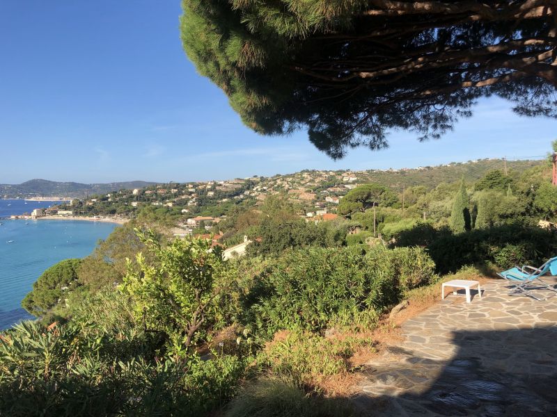 photo 1 Location entre particuliers Le Lavandou villa   Vue de la terrasse