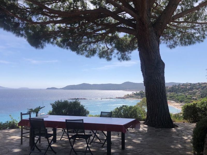 photo 0 Location entre particuliers Le Lavandou villa   Terrasse