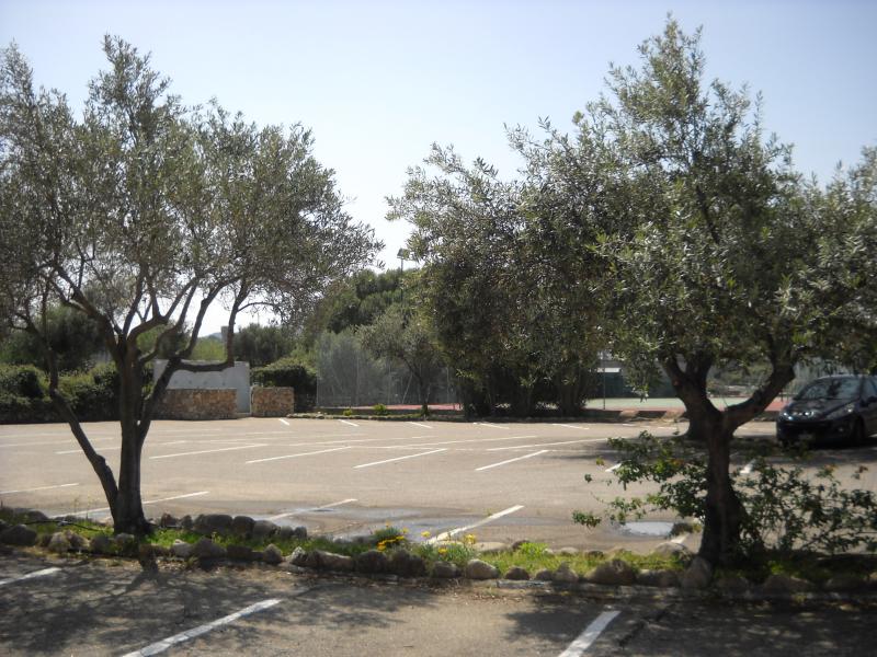 photo 2 Location entre particuliers San Teodoro appartement Sardaigne Olbia Tempio (province de) Parking