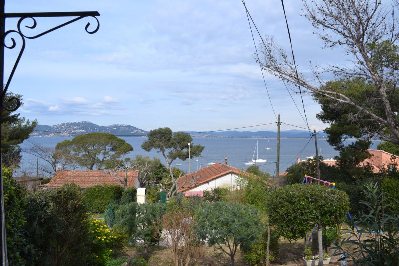 photo 19 Location entre particuliers Hyres gite Provence-Alpes-Cte d'Azur Var Vue depuis la location