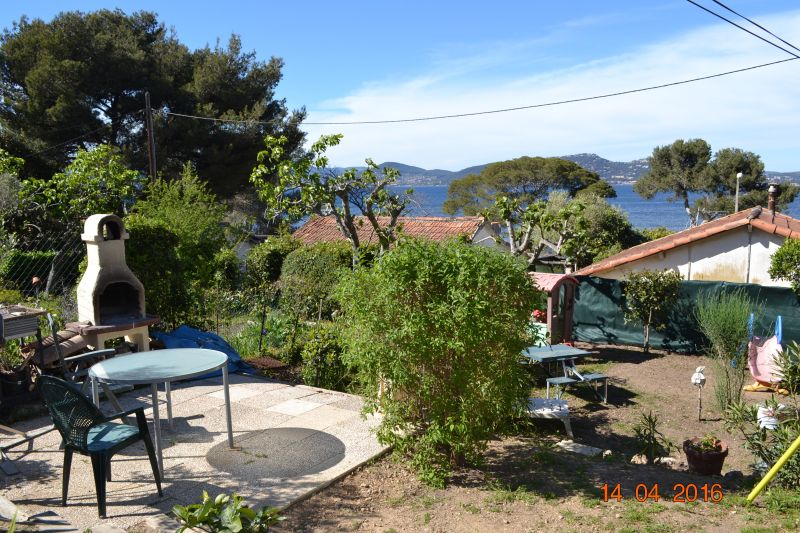 photo 21 Location entre particuliers Hyres gite Provence-Alpes-Cte d'Azur Var Jardin