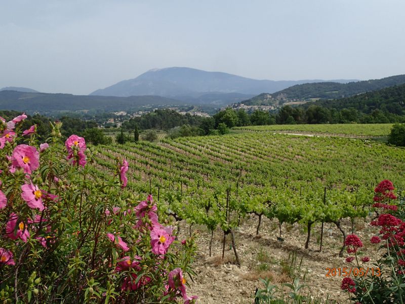 photo 16 Location entre particuliers Vaison la Romaine gite Provence-Alpes-Cte d'Azur Vaucluse Vue depuis la location