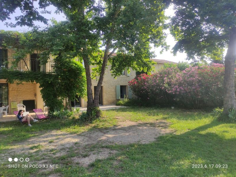 photo 19 Location entre particuliers Uzs maison Languedoc-Roussillon Gard Jardin