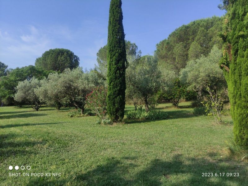 photo 20 Location entre particuliers Uzs maison Languedoc-Roussillon Gard Jardin