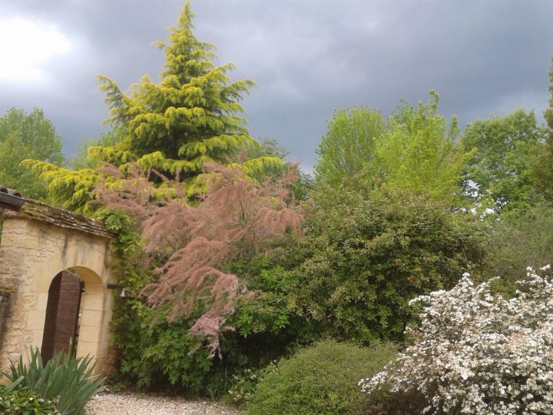 photo 20 Location entre particuliers Montignac sur Vzre (Grottes de Lascaux) gite Aquitaine Dordogne Entre