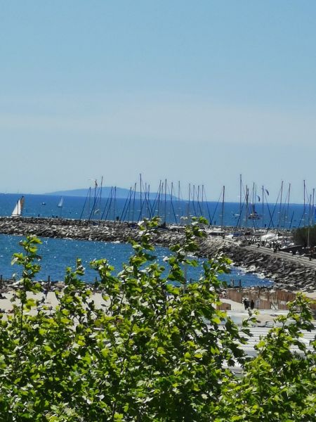 photo 19 Location entre particuliers La Grande Motte studio Languedoc-Roussillon Hrault Vue de la terrasse