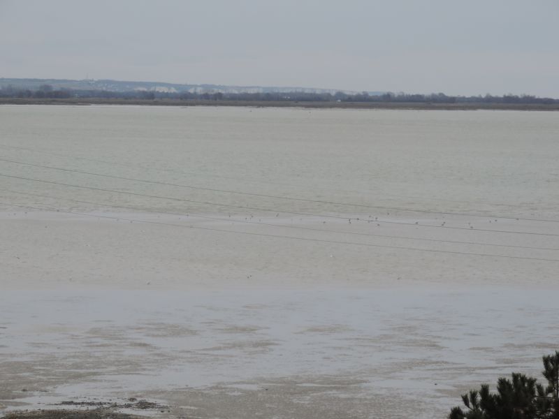 photo 5 Location entre particuliers Le Crotoy appartement Picardie Somme Vue de la terrasse