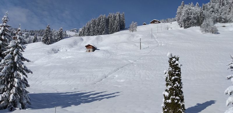 photo 28 Location entre particuliers Le Grand Bornand appartement Rhne-Alpes Haute-Savoie Vue de la terrasse