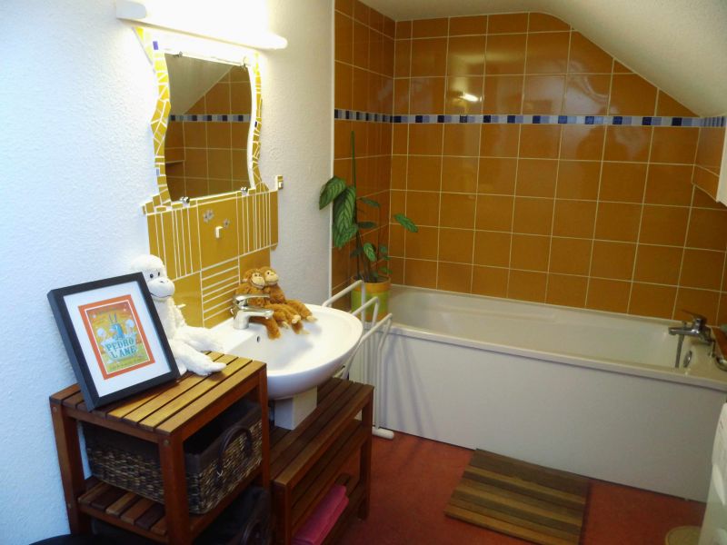 photo 15 Location entre particuliers Grardmer appartement Lorraine Vosges salle de bain