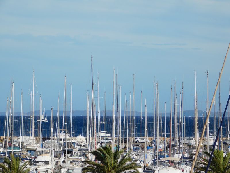 photo 3 Location entre particuliers Hyres studio Provence-Alpes-Cte d'Azur Var Vue de la terrasse