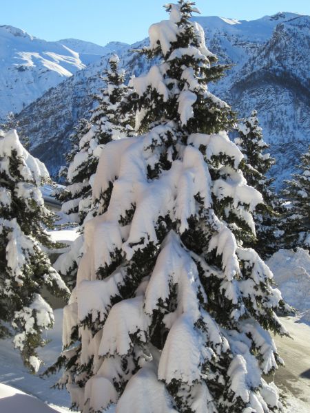 photo 7 Location entre particuliers Orcires Merlette appartement Provence-Alpes-Cte d'Azur Hautes-Alpes Vue du balcon