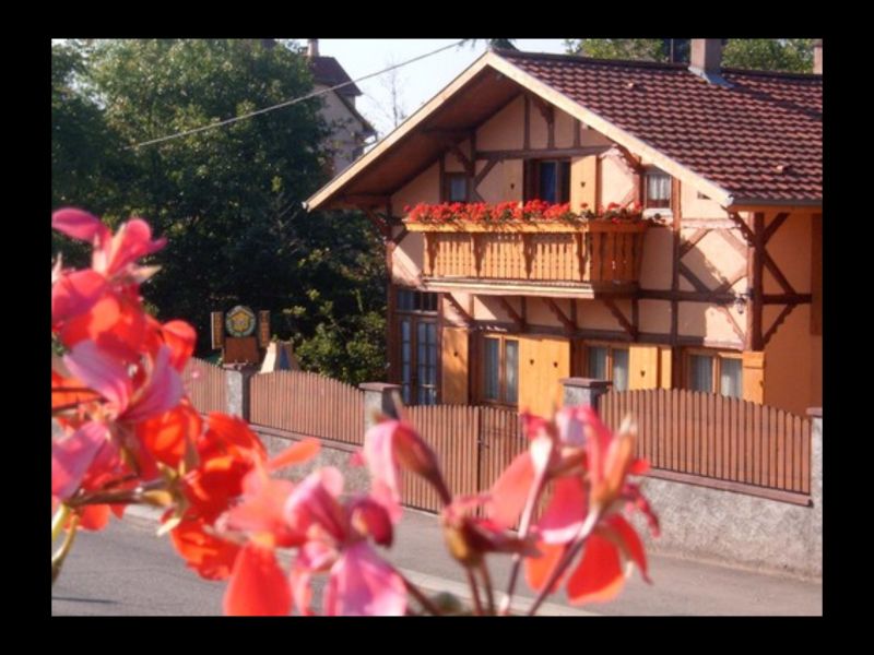 photo 1 Location entre particuliers Ribeauvill gite Alsace Haut-Rhin