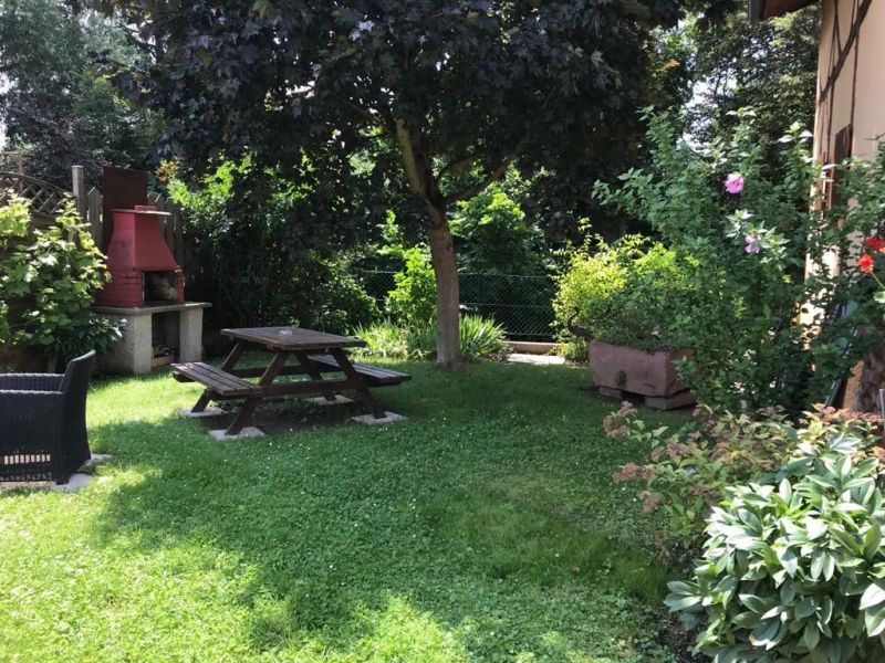 photo 14 Location entre particuliers Ribeauvill gite Alsace Haut-Rhin Jardin