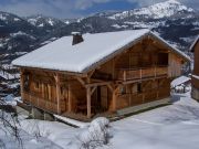 Locations maisons vacances Haute-Savoie: chalet n 117783