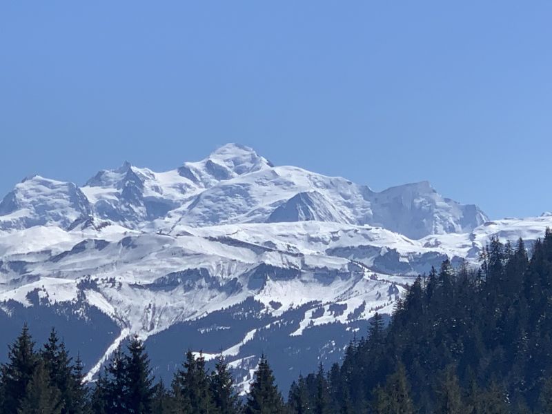 photo 15 Location entre particuliers Praz de Lys Sommand appartement Rhne-Alpes Haute-Savoie Vue de la terrasse