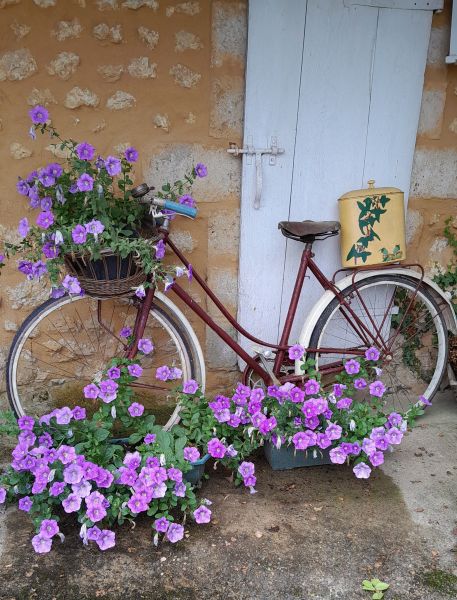 photo 10 Location entre particuliers Arzacq-Arraziguet maison Aquitaine Pyrnes-Atlantiques Cour