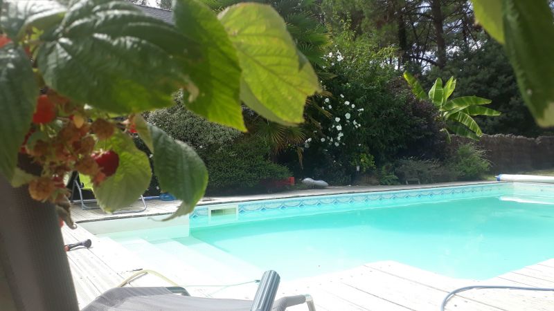 photo 13 Location entre particuliers Assrac maison Pays de la Loire Loire-Atlantique Piscine