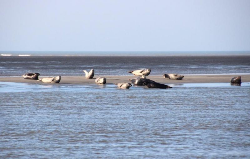 photo 3 Location entre particuliers Berck-Plage gite   Vue  proximit