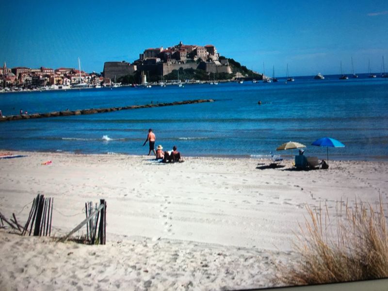 photo 21 Location entre particuliers Calvi appartement Corse Haute-Corse Plage