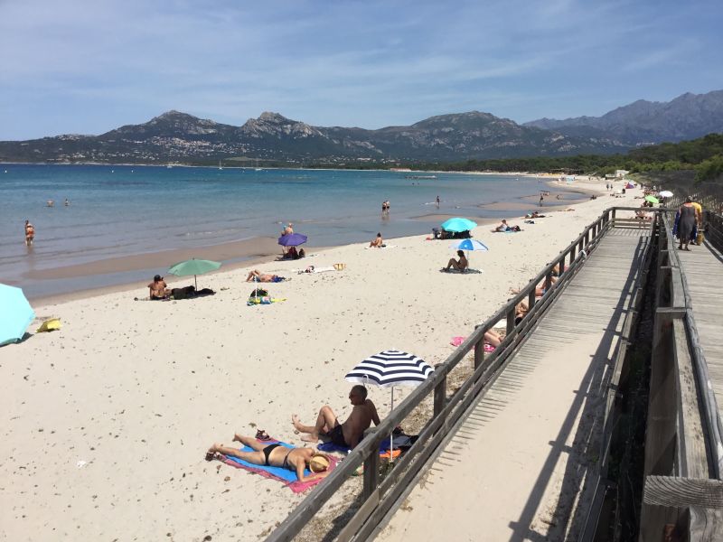 photo 22 Location entre particuliers Calvi appartement Corse Haute-Corse Plage