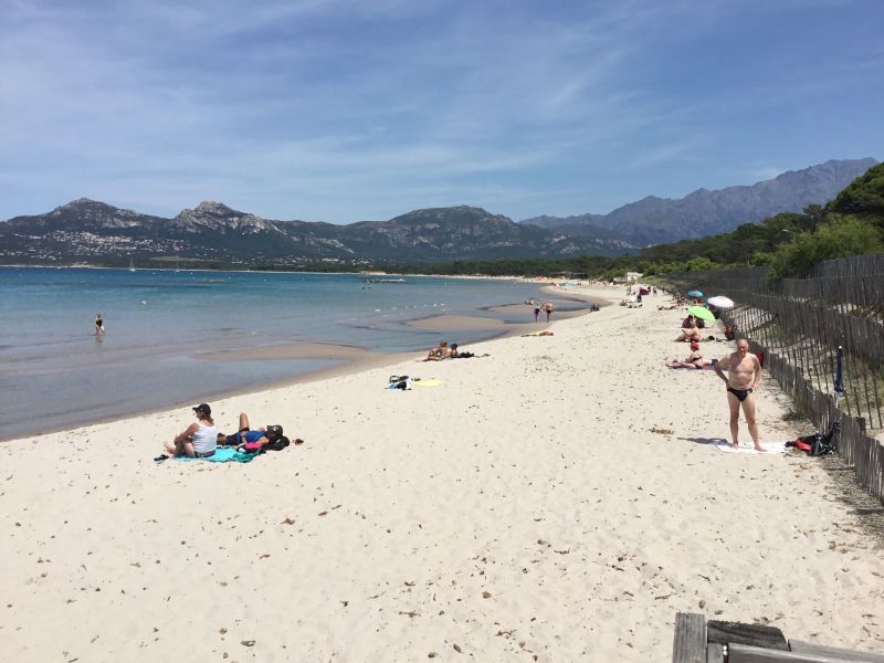 photo 23 Location entre particuliers Calvi appartement Corse Haute-Corse Plage