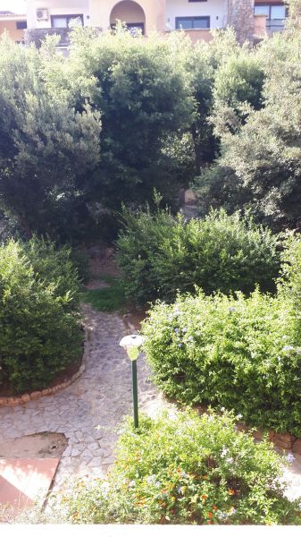 photo 3 Location entre particuliers Porto Rotondo appartement Sardaigne Olbia Tempio (province de) Jardin