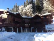 Locations station de ski Haute-Savoie: appartement n 82300