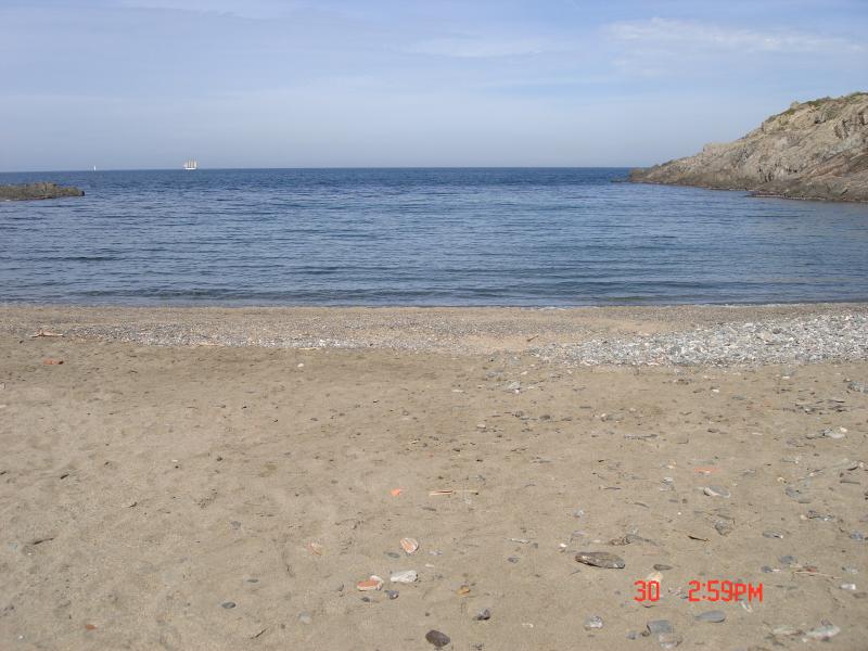 photo 14 Location entre particuliers Collioure appartement Languedoc-Roussillon Pyrnes-Orientales Plage