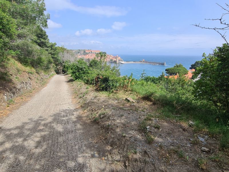 photo 16 Location entre particuliers Collioure appartement Languedoc-Roussillon Pyrnes-Orientales