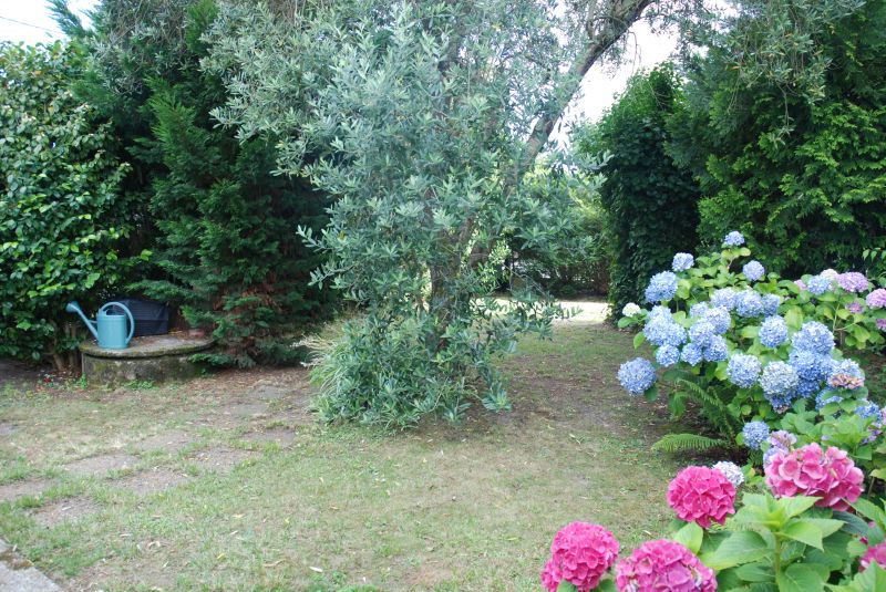 photo 2 Location entre particuliers Biarritz maison Aquitaine Pyrnes-Atlantiques Jardin