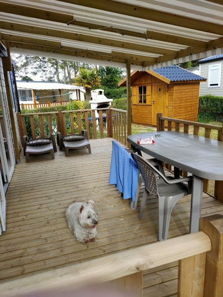 photo 1 Location entre particuliers Quend Plage mobilhome Picardie Somme Vue de la terrasse