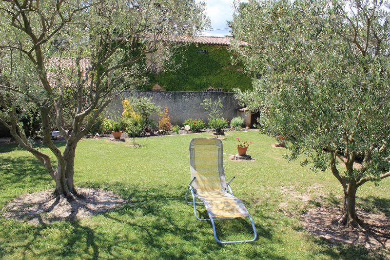 photo 9 Location entre particuliers Avignon villa Provence-Alpes-Cte d'Azur Vaucluse Jardin