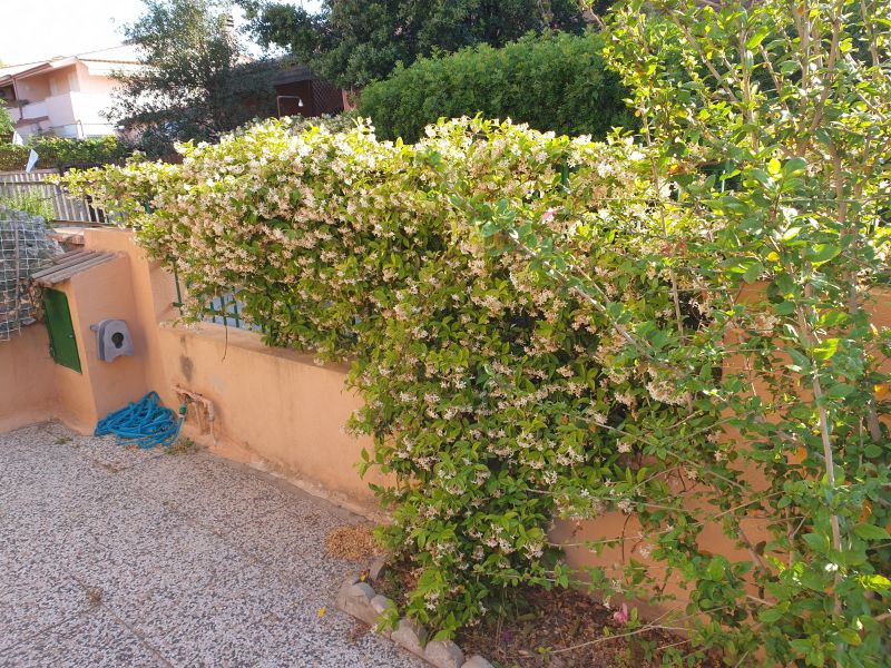 photo 25 Location entre particuliers Quartu Sant'Elena maison Sardaigne Cagliari (province de)