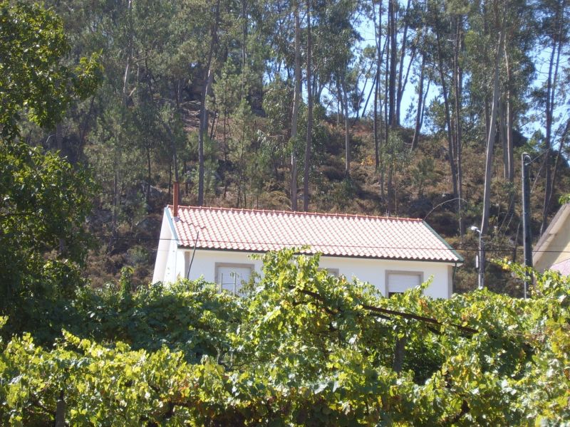 photo 1 Location entre particuliers Celorico de Basto maison Entre Douro et Minho  Vue extrieure de la location