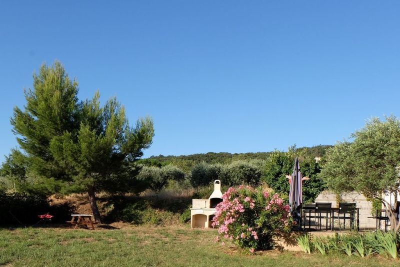 photo 9 Location entre particuliers Pzenas villa Languedoc-Roussillon Hrault Jardin