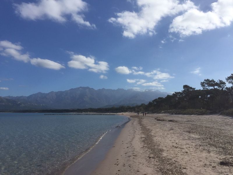 photo 19 Location entre particuliers Calvi appartement Corse Haute-Corse Vue autre