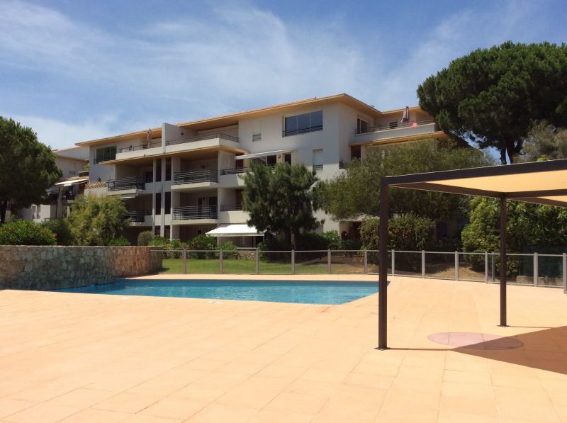 photo 2 Location entre particuliers Calvi appartement Corse Haute-Corse Piscine