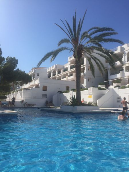 photo 0 Location entre particuliers Cala Tarida appartement Balares Ibiza Piscine