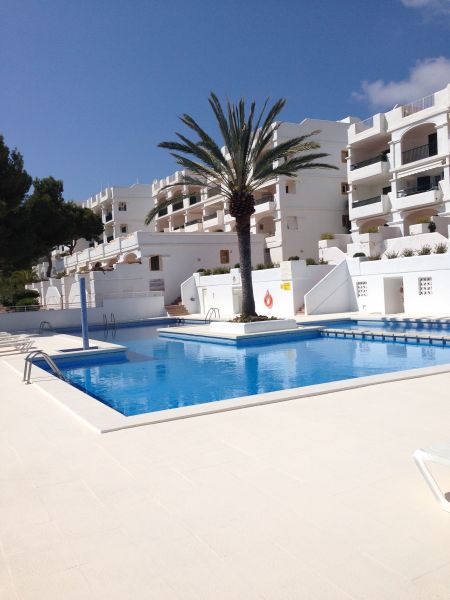 photo 18 Location entre particuliers Cala Tarida appartement Balares Ibiza Piscine